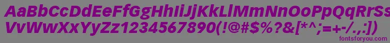 VectoraLt96BlackItalic-Schriftart – Violette Schriften auf grauem Hintergrund