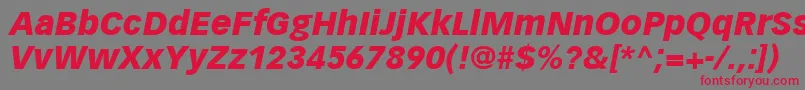VectoraLt96BlackItalic-Schriftart – Rote Schriften auf grauem Hintergrund
