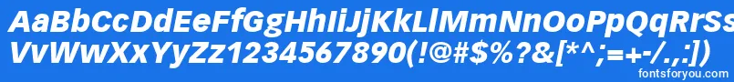 Czcionka VectoraLt96BlackItalic – białe czcionki na niebieskim tle