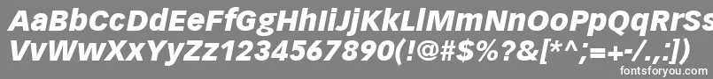 VectoraLt96BlackItalic-fontti – valkoiset fontit harmaalla taustalla