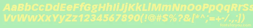 VectoraLt96BlackItalic Font – Yellow Fonts on Green Background