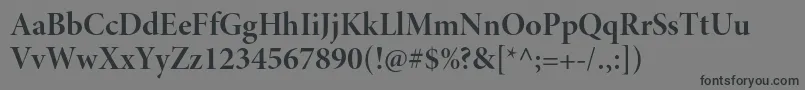 MinionproBolddisp Font – Black Fonts on Gray Background