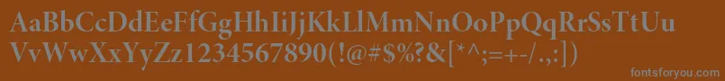 MinionproBolddisp Font – Gray Fonts on Brown Background