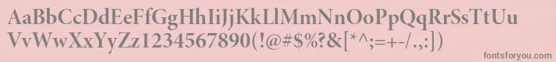 MinionproBolddisp Font – Gray Fonts on Pink Background