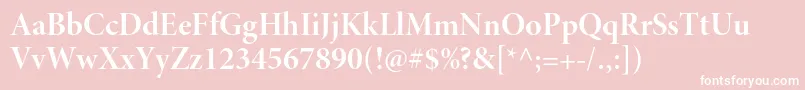 MinionproBolddisp Font – White Fonts on Pink Background