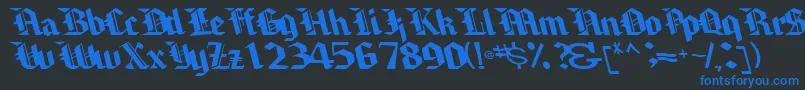 Brawnyarmslight99RegularTtcon Font – Blue Fonts on Black Background