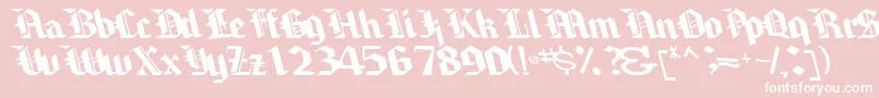 Brawnyarmslight99RegularTtcon Font – White Fonts on Pink Background