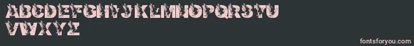 LmsDadsDuck Font – Pink Fonts on Black Background