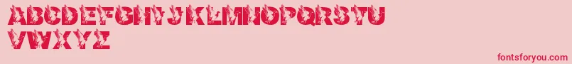 LmsDadsDuck-Schriftart – Rote Schriften auf rosa Hintergrund