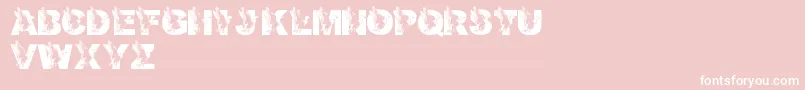 LmsDadsDuck-Schriftart – Weiße Schriften auf rosa Hintergrund