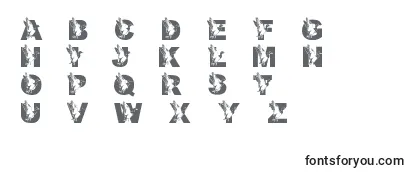 Review of the LmsDadsDuck Font