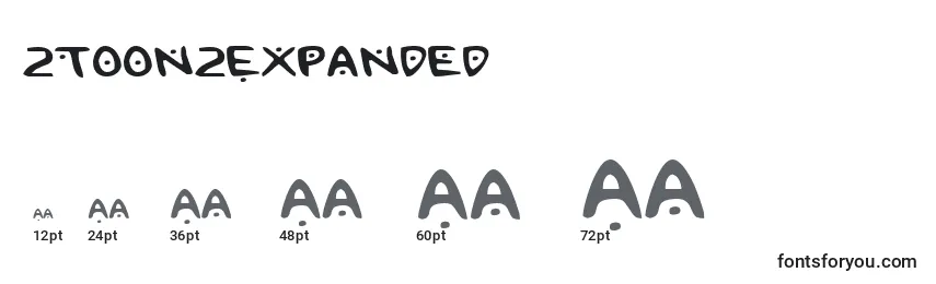 2toon2Expanded Font Sizes