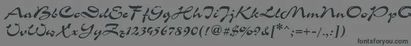 CorridaCyrillic-Schriftart – Schwarze Schriften auf grauem Hintergrund