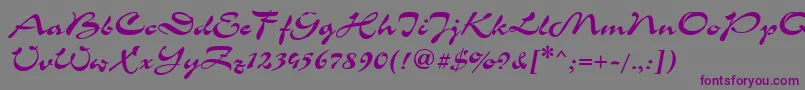 CorridaCyrillic-fontti – violetit fontit harmaalla taustalla
