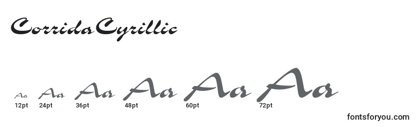 CorridaCyrillic Font Sizes