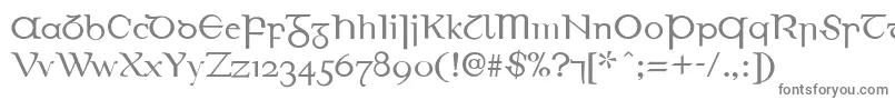 EirinnAsciiLl Font – Gray Fonts