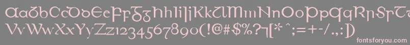 EirinnAsciiLl Font – Pink Fonts on Gray Background