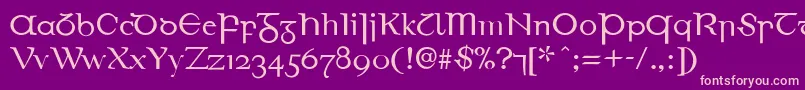 EirinnAsciiLl Font – Pink Fonts on Purple Background