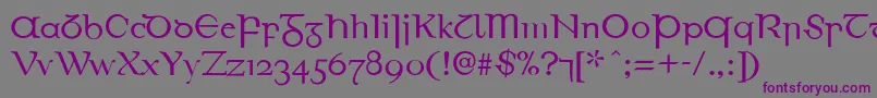 EirinnAsciiLl Font – Purple Fonts on Gray Background