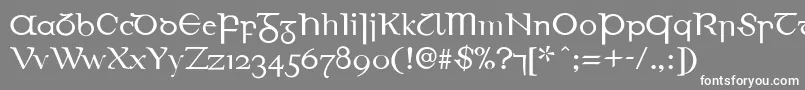 EirinnAsciiLl Font – White Fonts on Gray Background