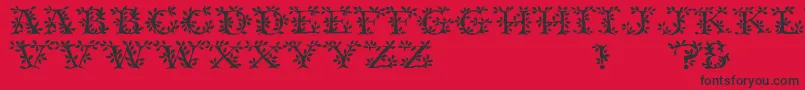 TenderRegular-Schriftart – Schwarze Schriften auf rotem Hintergrund