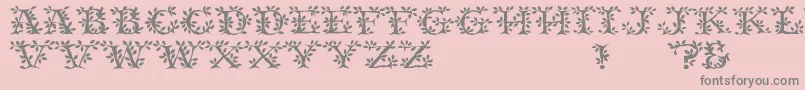 TenderRegular-Schriftart – Graue Schriften auf rosa Hintergrund