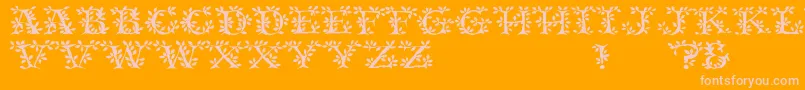 TenderRegular-Schriftart – Rosa Schriften auf orangefarbenem Hintergrund