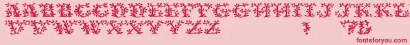 TenderRegular-Schriftart – Rote Schriften auf rosa Hintergrund