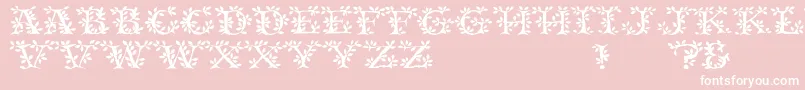 TenderRegular-Schriftart – Weiße Schriften auf rosa Hintergrund