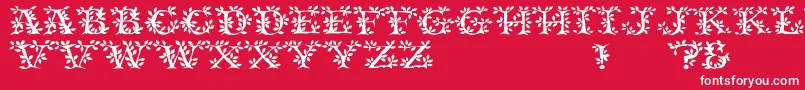 フォントTenderRegular – 赤い背景に白い文字