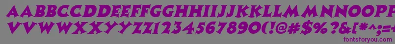 CoasterItalic-Schriftart – Violette Schriften auf grauem Hintergrund