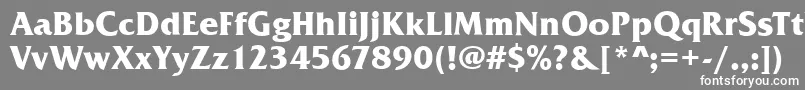 FremontBold Font – White Fonts on Gray Background