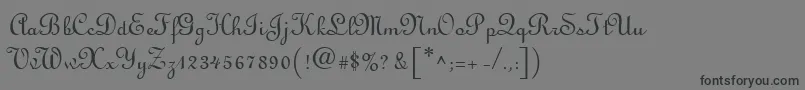 フォントLinusscriptRegular – 黒い文字の灰色の背景