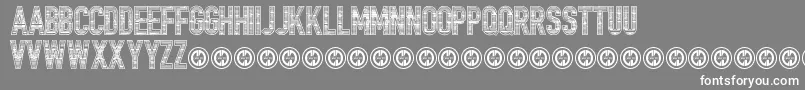 TrailerParkLaneInverted Font – White Fonts on Gray Background