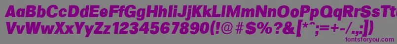 FormulaserialHeavyItalic Font – Purple Fonts on Gray Background