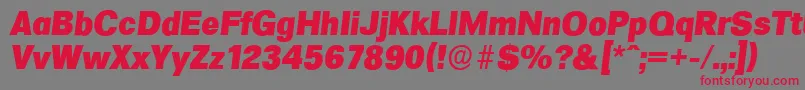 FormulaserialHeavyItalic Font – Red Fonts on Gray Background