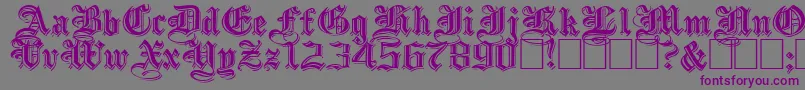 EmbossedBlackWide Font – Purple Fonts on Gray Background