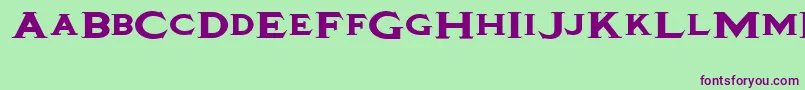 Tinplatetitlingblackwide Font – Purple Fonts on Green Background