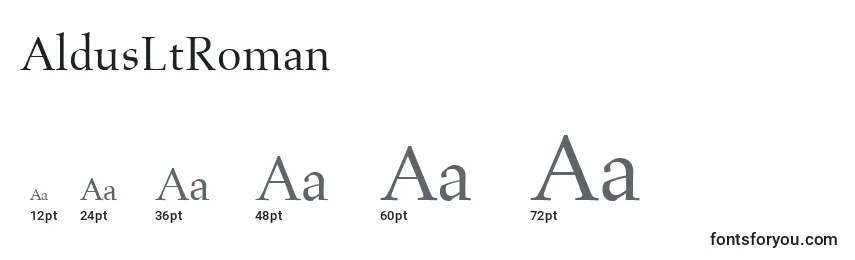 Размеры шрифта AldusLtRoman