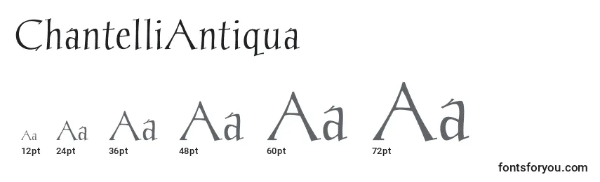 Размеры шрифта ChantelliAntiqua