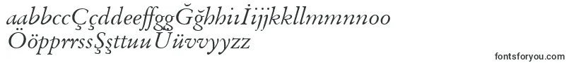 BaramondItalic Font – Turkish Fonts