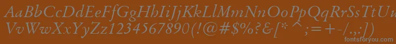 BaramondItalic Font – Gray Fonts on Brown Background