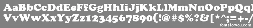 フォントCyrilliccopperMedium – 灰色の背景に白い文字