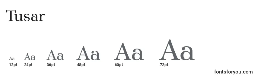 Размеры шрифта Tusar