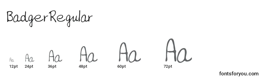 BadgerRegular Font Sizes