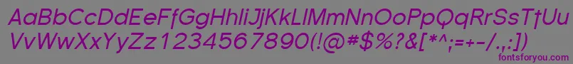 SfflorencesansItalic Font – Purple Fonts on Gray Background
