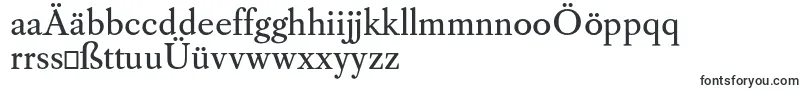 CaslonosRegular Font – German Fonts