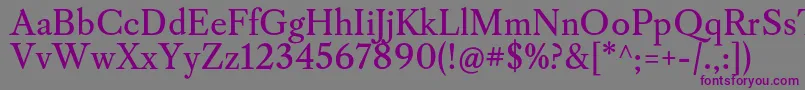 フォントCaslonosRegular – 紫色のフォント、灰色の背景