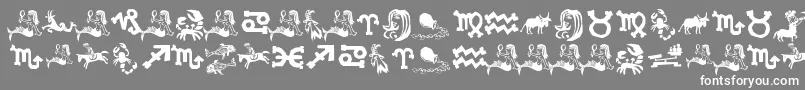 XiloInZodiac Font – White Fonts on Gray Background