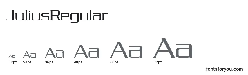 Размеры шрифта JuliusRegular